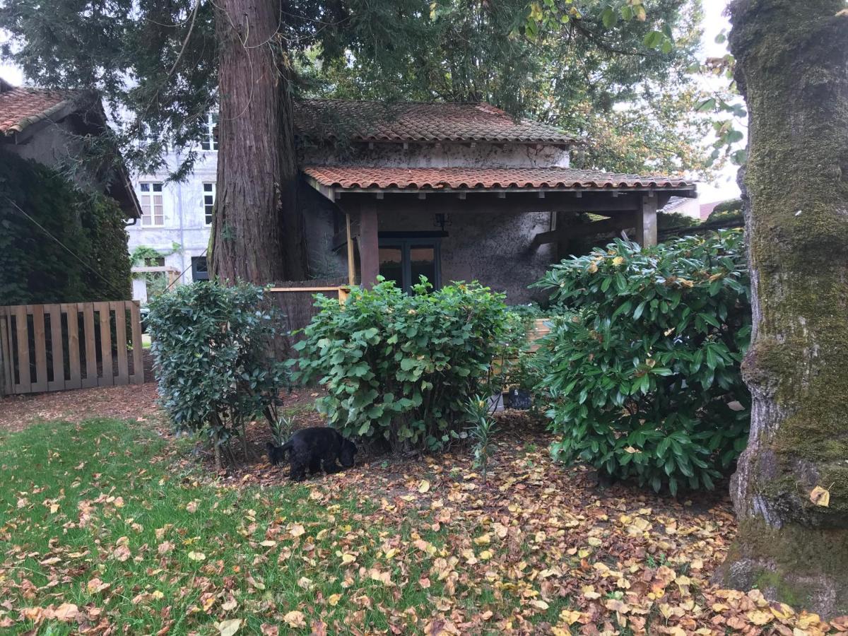 Maison M On The Dordogne แซงต์-ฟัว-ลา-กรองด์ ภายนอก รูปภาพ