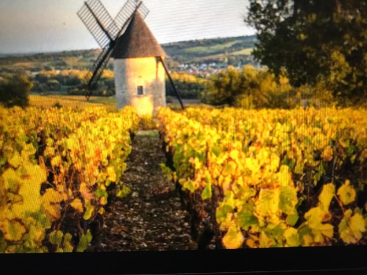 Maison M On The Dordogne แซงต์-ฟัว-ลา-กรองด์ ภายนอก รูปภาพ