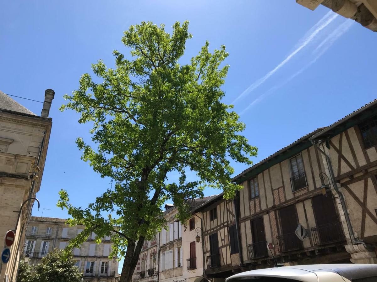 Maison M On The Dordogne แซงต์-ฟัว-ลา-กรองด์ ภายนอก รูปภาพ